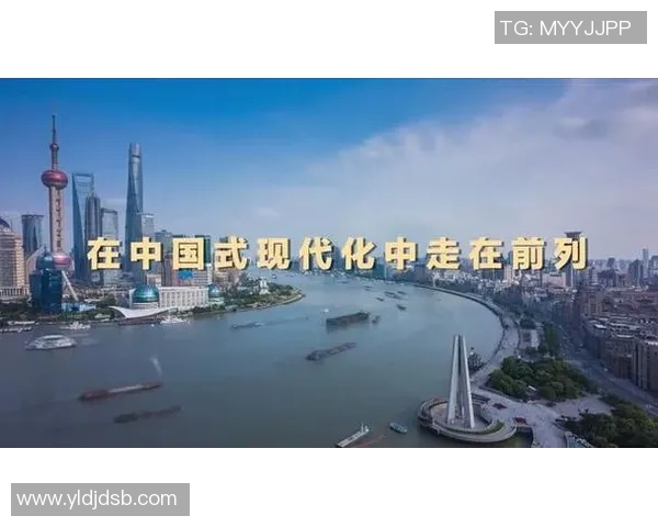 谢什科的传奇旅程与影响力探讨：从历史到现代的深度剖析