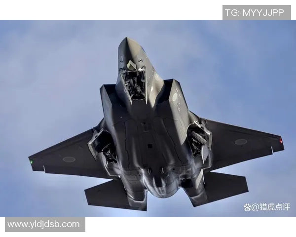 登克尔克与维也纳快速的精彩对决分析与赛后点评