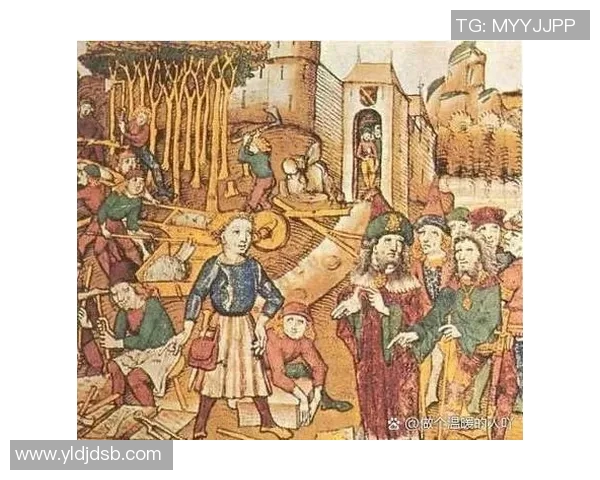 越南平定与同塔的历史交汇与文化碰撞探讨