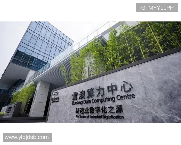 加克波在国际赛场的崛起与未来发展潜力的深度分析与展望