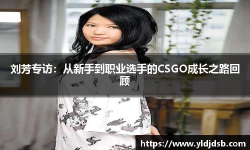 易倍emc官网