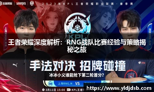 王者荣耀深度解析：RNG战队比赛经验与策略揭秘之旅