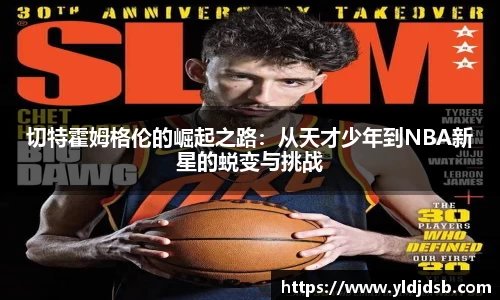 易倍emc官网