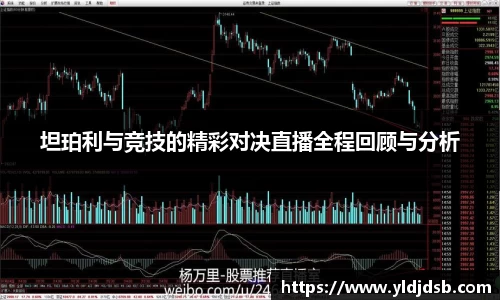 EMC易倍体育